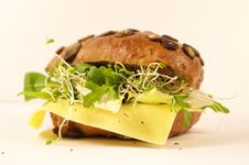 Pumpkin Seed Sandwich Stock Photography Pumpkin Seed Sandwich Stock Photography