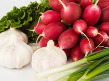Spring Onions, Garlic, Lettuce And Radish Royalty Free Stock Photo Spring Onions, Garlic, Lettuce And Radish Royalty Free Stock Photo