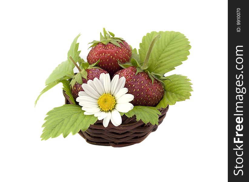 Strawberries and chamomile in the little basket