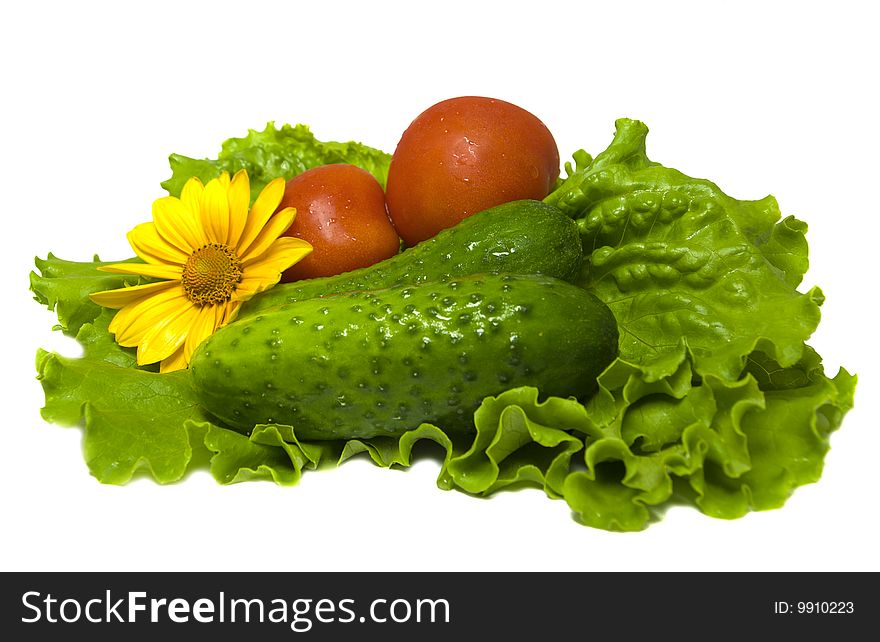 Tomatoes, cucumbers and salad isolated on white