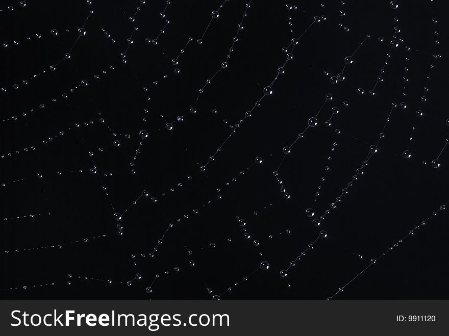 Close up shot of a spiders web covered in water droplets. Close up shot of a spiders web covered in water droplets