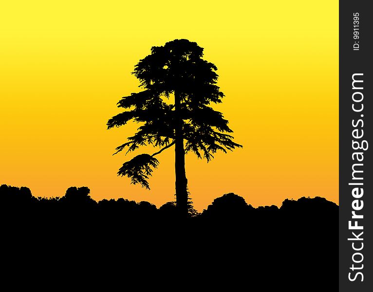 Illustrated silhouette of a tall tree. Illustrated silhouette of a tall tree.