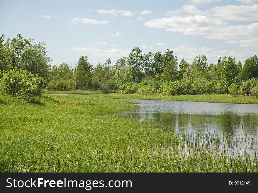 Sources of the of the taiga rivers of the Siberian edge. Sources of the of the taiga rivers of the Siberian edge