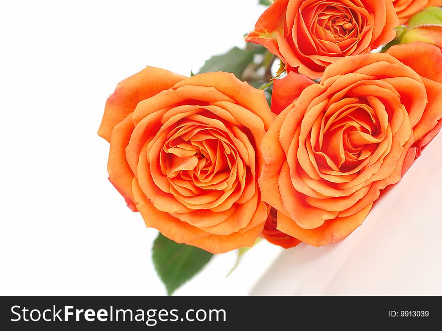 Bunch of orange color roses isolated on the white background. Bunch of orange color roses isolated on the white background.