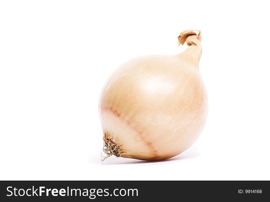 Closeup image of an onion. Closeup image of an onion