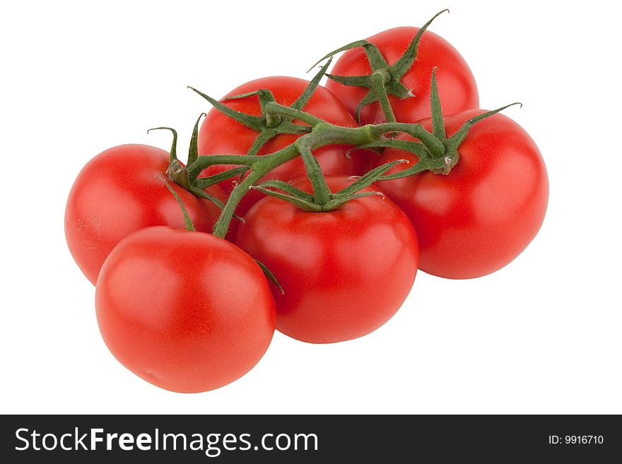 Tomatoes isolated on white background