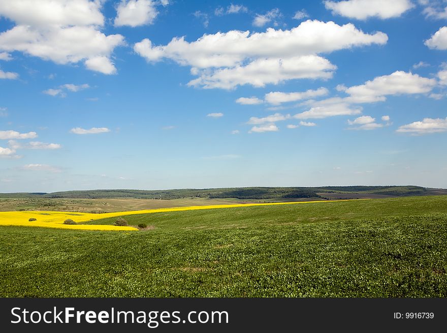 An image of a spring field and blue sky