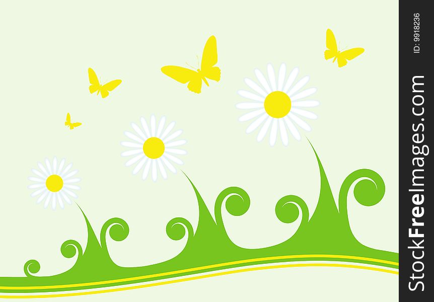 Illustration of daisies and butterflies on light green background