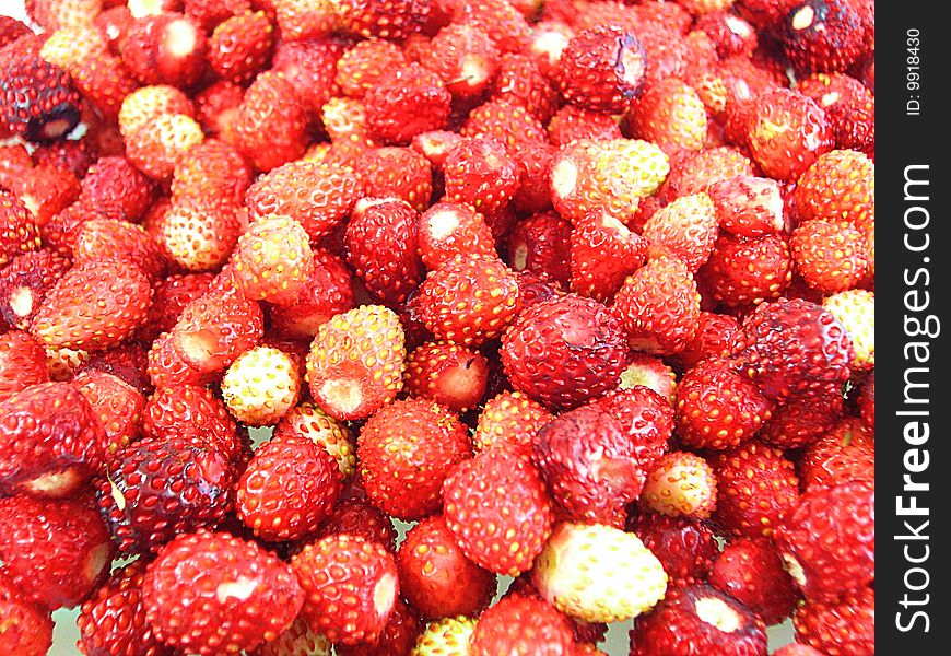 Fresh and ripe wild strawberry as a background.