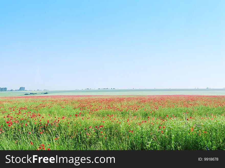 Vast Field