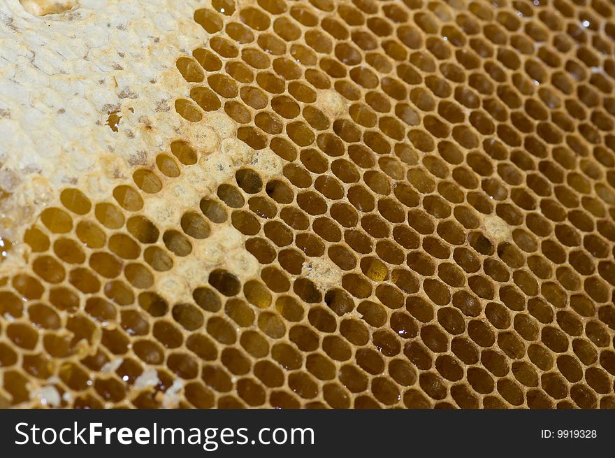 Background with honeycombs full of sweet honey