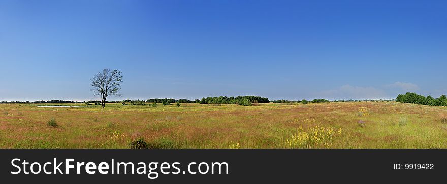 Panorama Summer Ryazan fields. June, the heat. Panorama Summer Ryazan fields. June, the heat.