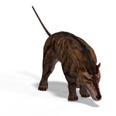 Dangerous Dinosaur Andrewsarchus With Clipping Royalty Free Stock Photos Dangerous Dinosaur Andrewsarchus With Clipping Royalty Free Stock Photos