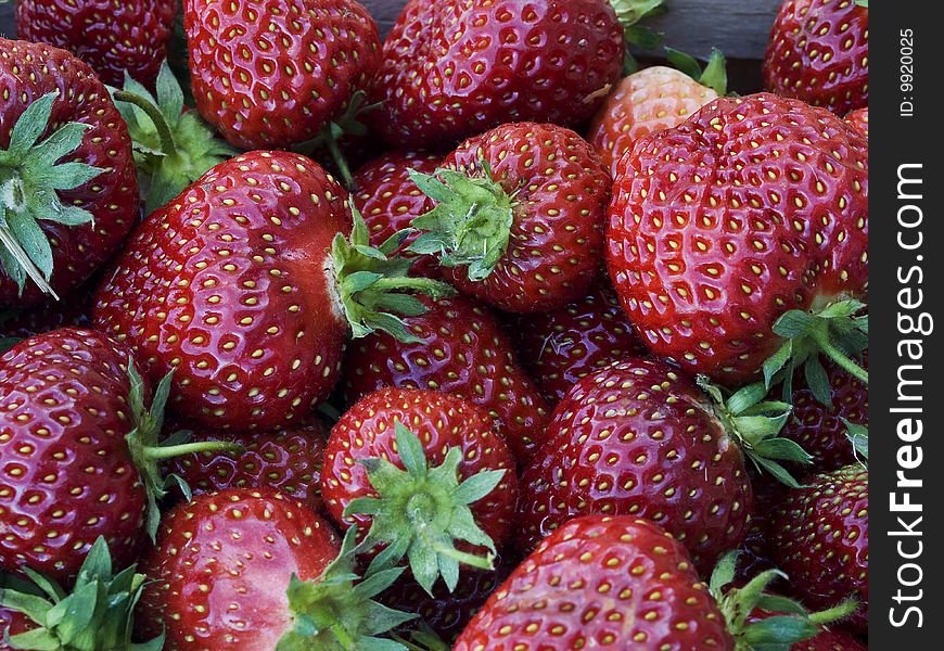 Image of the strawberries just harvested from the field. Image of the strawberries just harvested from the field