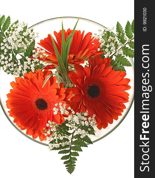 Flowers in the bowl with water pearls on white background. Flowers in the bowl with water pearls on white background