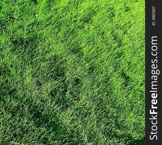 Simple green short grass surface