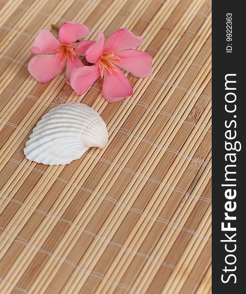 Pink Tropical Flowers And A Seashell