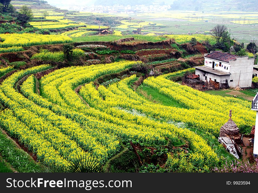 What a beautiful terrace. What a beautiful terrace