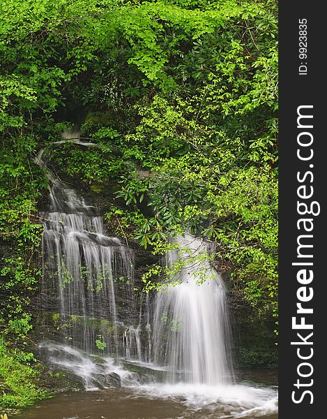 Waterfall flowing in green forest