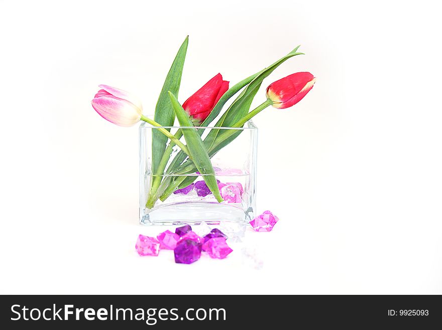Spring tulips in a crystal vase