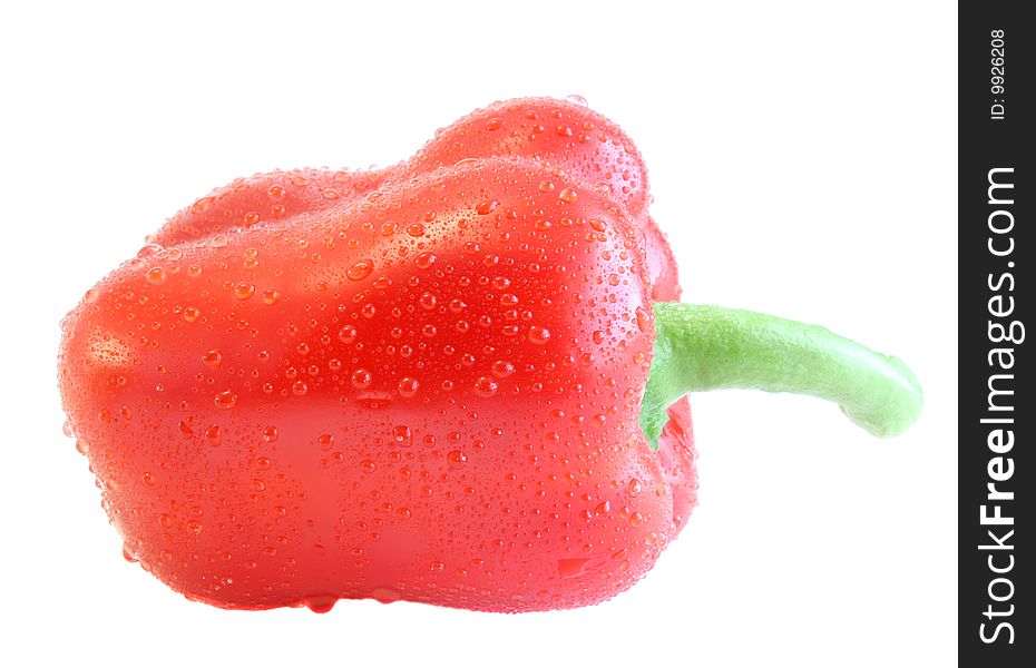 Red pepper in water drops, is isolated