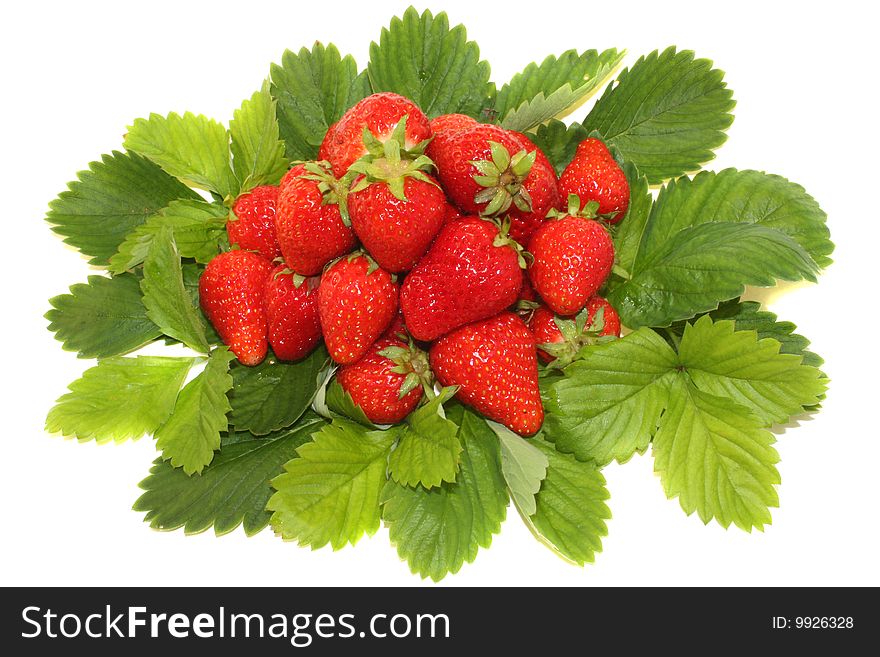 Strawberry With Leaves