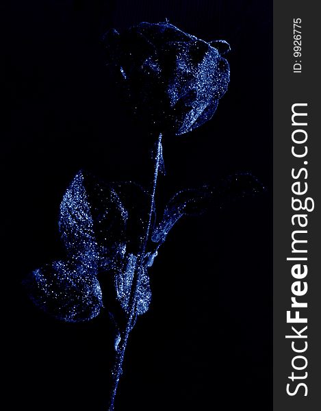 Artificial rose made from paper and plastic on the dark background. Artificial rose made from paper and plastic on the dark background.