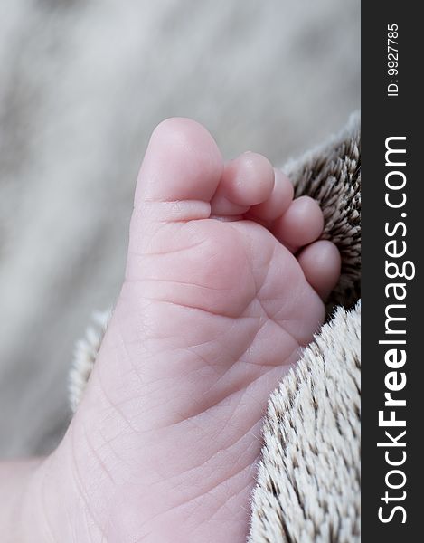 Picture of a new born foot. Baby picture