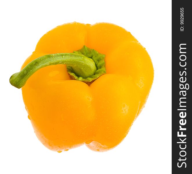 Close-up orange paprika with water drops isolated on white background. Close-up orange paprika with water drops isolated on white background