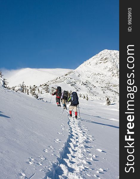 Hikers are in winter in mountains