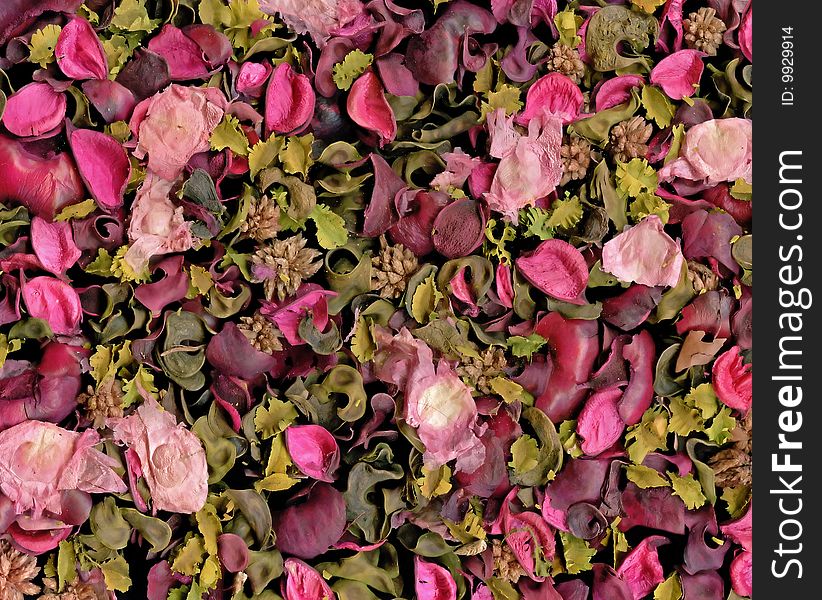 Rose petals texture to background