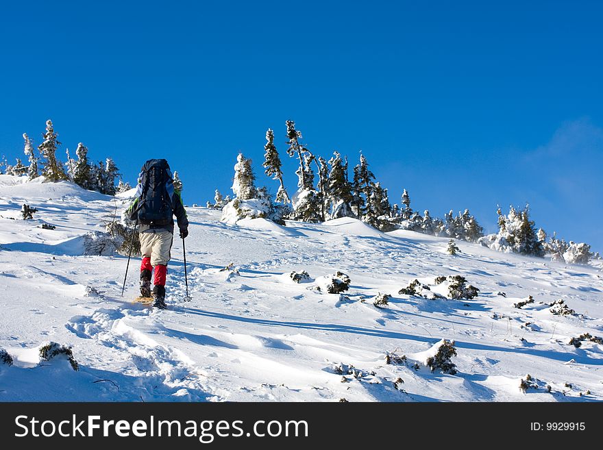 Hiker in winter in mountains