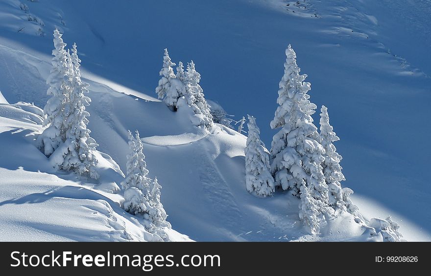 Winter, Mountainous Landforms, Sky, Tree