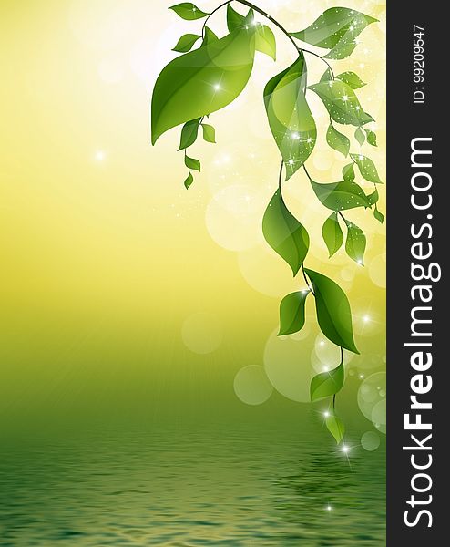 Green, Water, Leaf, Branch