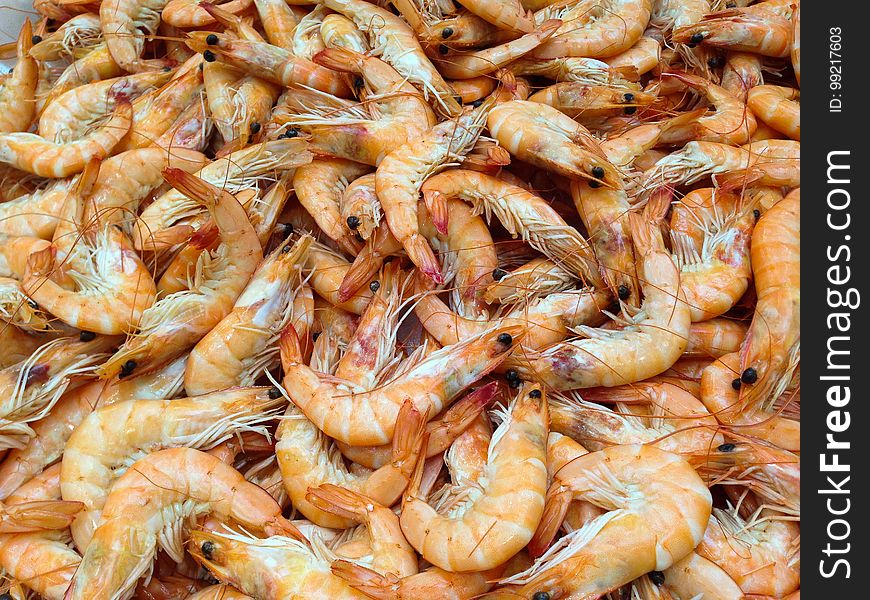 Shrimp, Seafood, Dendrobranchiata, Caridean Shrimp