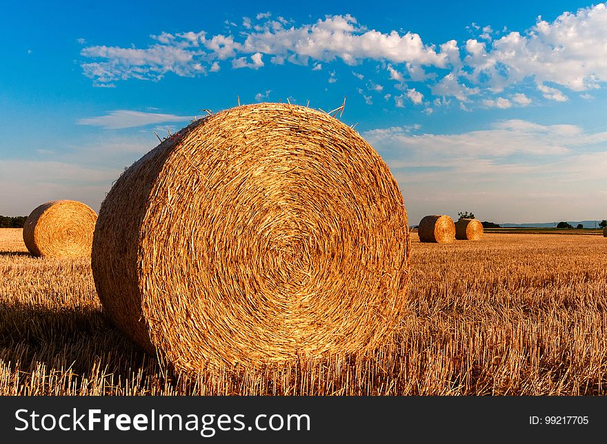 Hay, Sky, Field, Straw