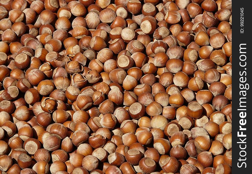 Nuts & Seeds, Hazelnut, Nut, Food