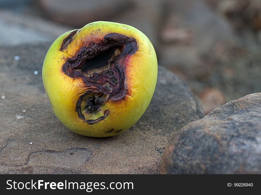 This apple not looking very attractive. This apple not looking very attractive.