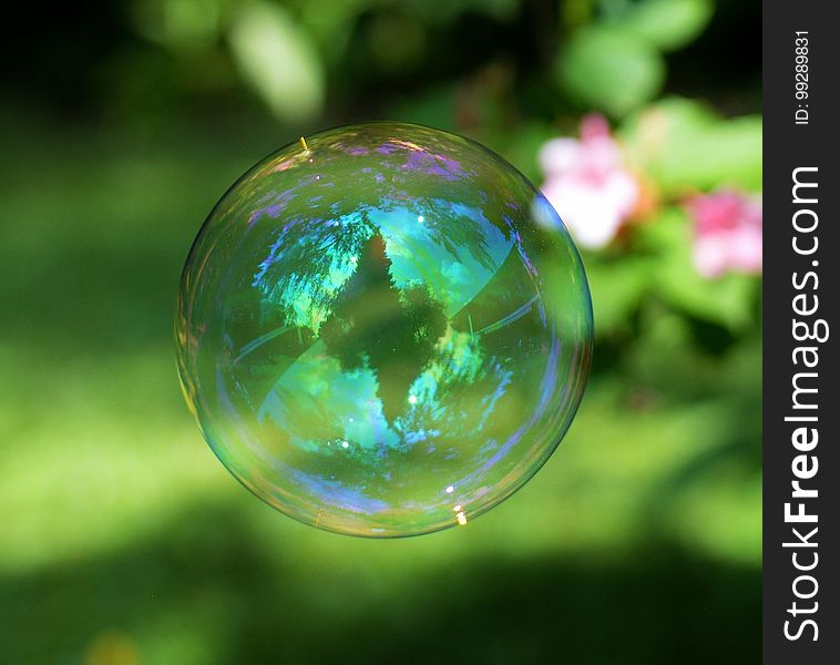 Water, Green, Liquid Bubble, Macro Photography