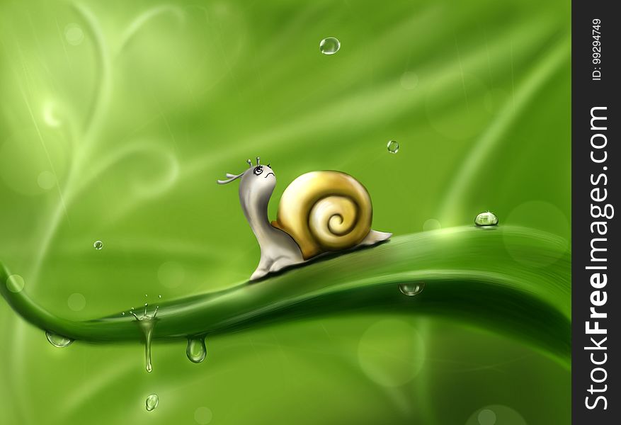 Green, Snails And Slugs, Snail, Leaf