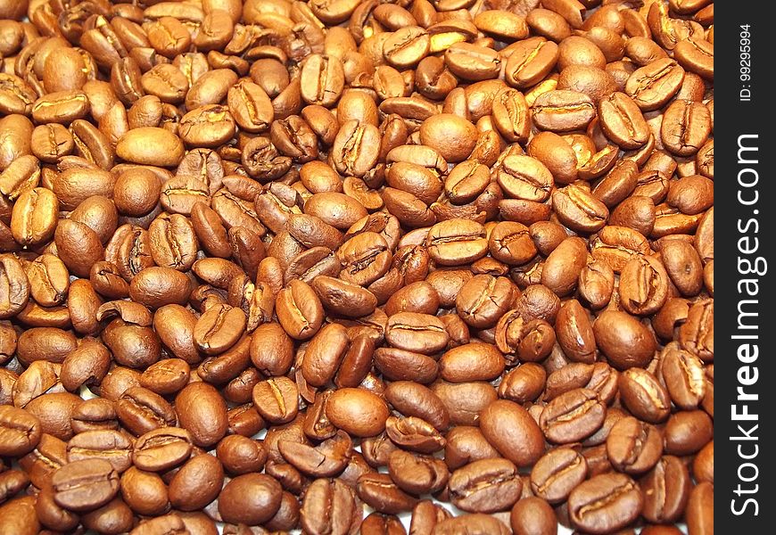 Jamaican Blue Mountain Coffee, Bean, Commodity, Nuts & Seeds