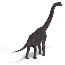 Giant Dinosaur Brachiosaurus With Clipping Path Royalty Free Stock Photos Giant Dinosaur Brachiosaurus With Clipping Path Royalty Free Stock Photos