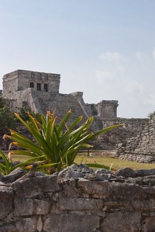 Tulum Ruins Stock Photos Tulum Ruins Stock Photos