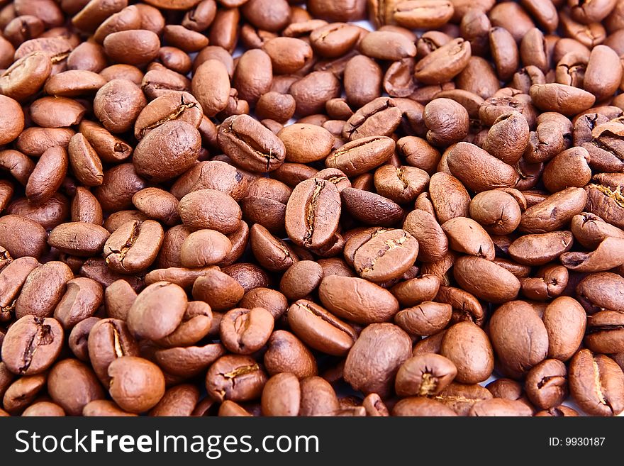 Coffee Beans