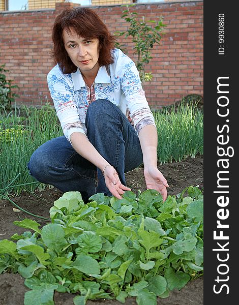 The young woman on a kitchen garden shows shoots. The young woman on a kitchen garden shows shoots