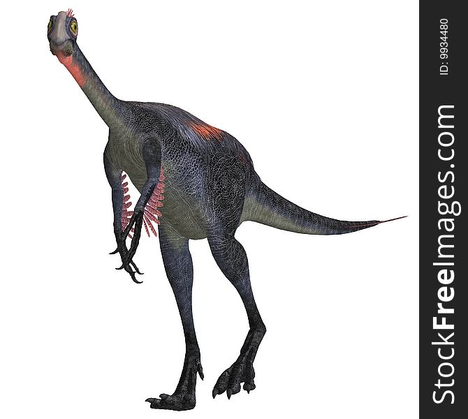 Dangerous dinosaur gigantoraptor. 3D render with clipping path over white. Dangerous dinosaur gigantoraptor. 3D render with clipping path over white