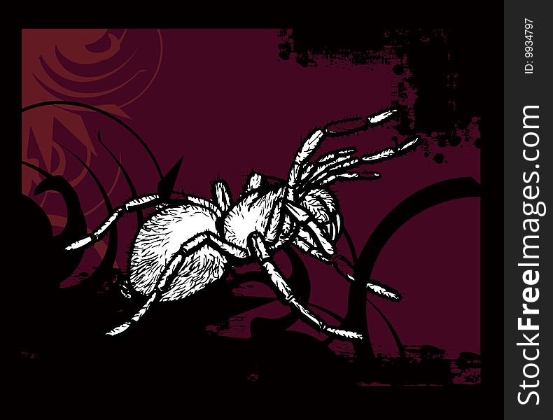 Simple illustration for spider with red and black background . Simple illustration for spider with red and black background .