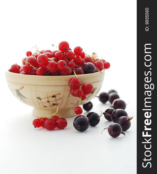 Currant and gooseberry