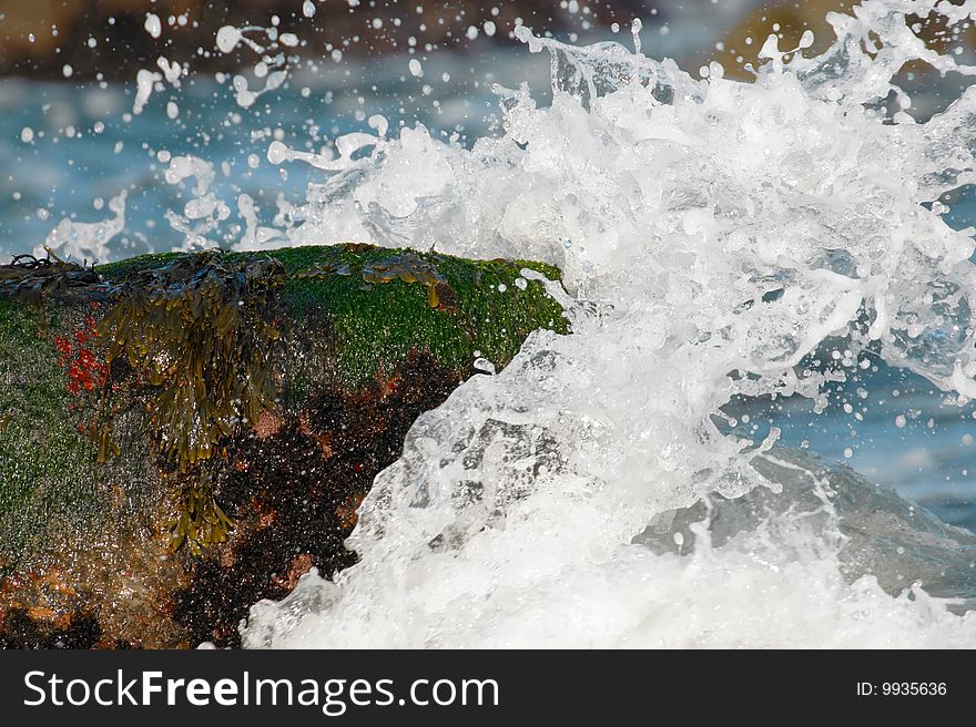 Wave crashes over rocks, coast of long island new york. Wave crashes over rocks, coast of long island new york