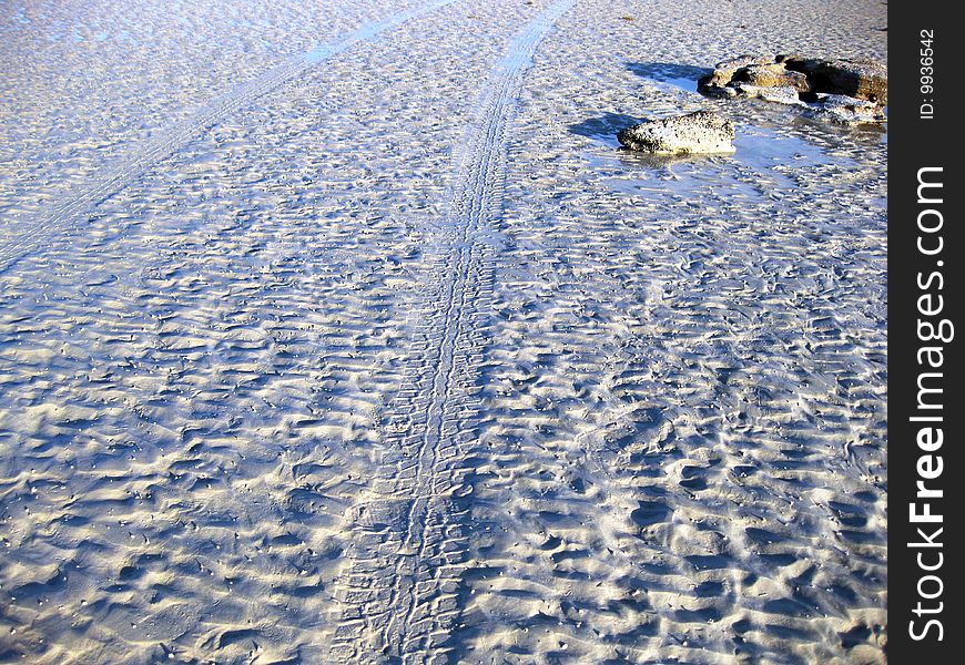 Tyre Tracks On The Beach